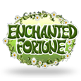 Enchanted Fortune